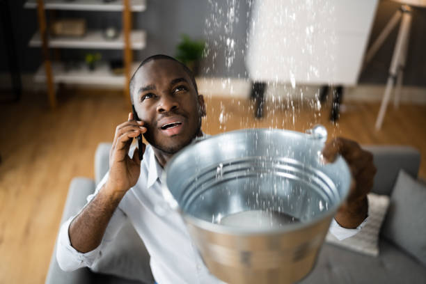 Best Professional water damage repair  in Suquamish, WA