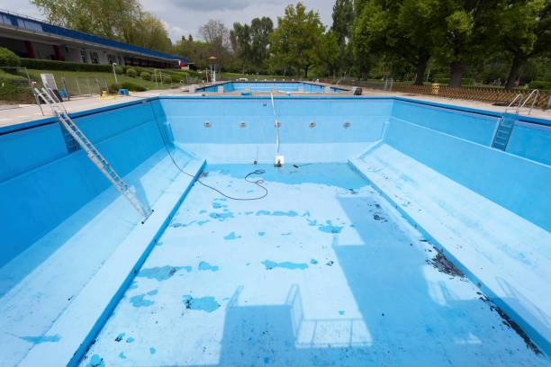 Best Mold removal after water damage  in Suquamish, WA