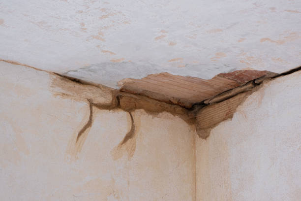 Best 24/7 water damage repair  in Suquamish, WA