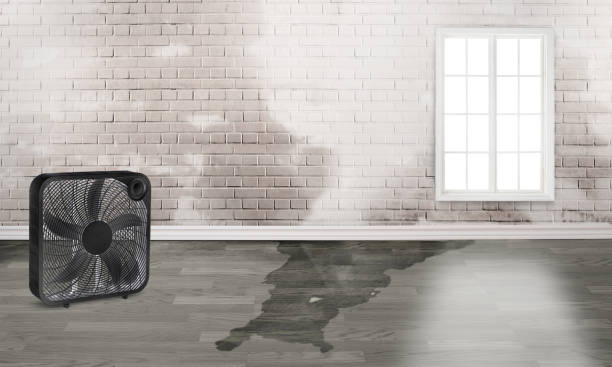 Best Water damage restoration near me  in Suquamish, WA
