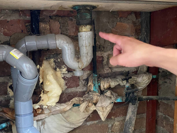 Best Basement water damage restoration  in Suquamish, WA