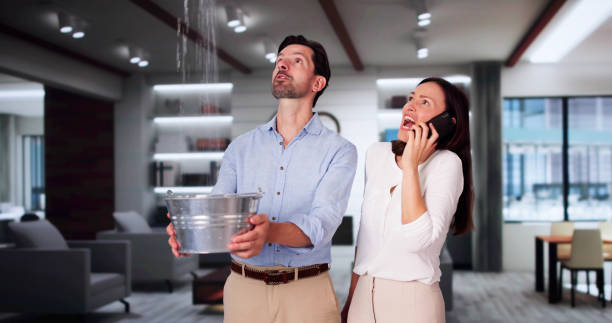 Best Ceiling water damage repair  in Suquamish, WA