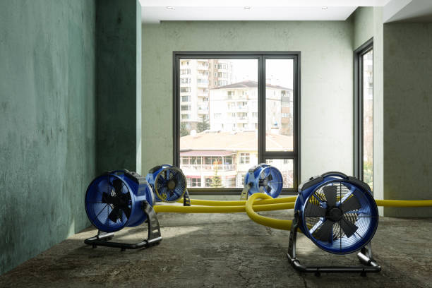 Best Commercial water damage restoration  in Suquamish, WA