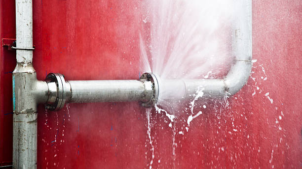 Best Water damage contractors near me  in Suquamish, WA