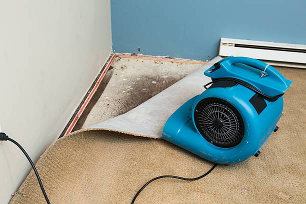 Best Flood restoration services  in Suquamish, WA